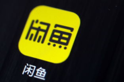 闲鱼上最新爆料,揭秘热门商品背后的惊人内幕!